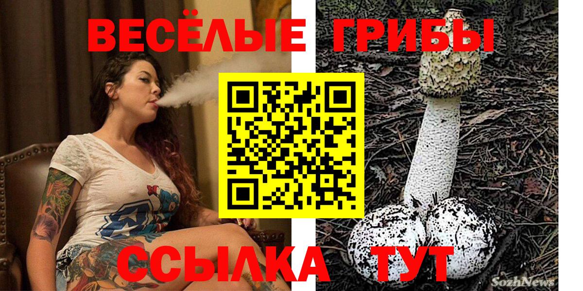 Белово  Галлюциногенные грибы MAGIC MUSHROOMS  Вход с VPN  где купить наркотик  Галлюциногенные грибы MAGIC MUSHROOMS 