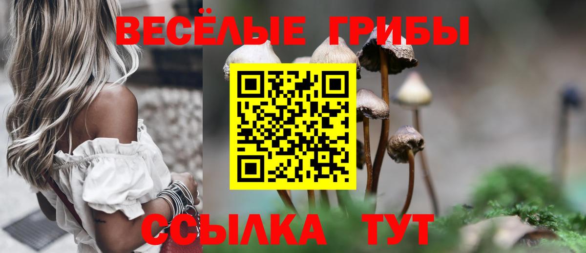 Галлюциногенные грибы прущие грибы Белово